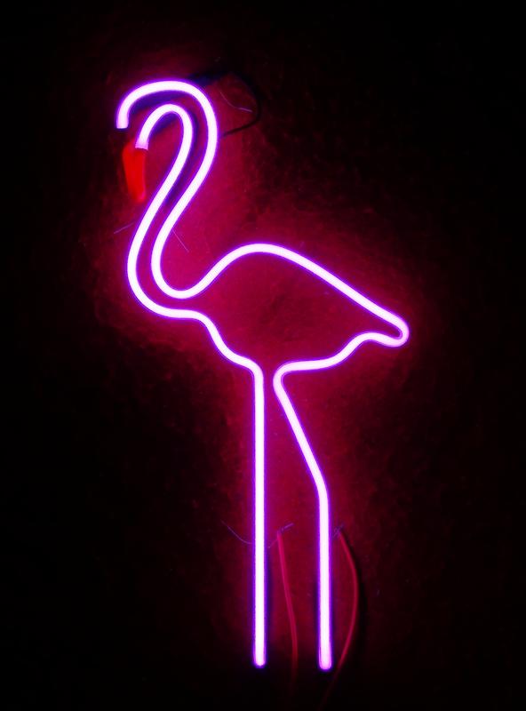 flamingo006.jpg